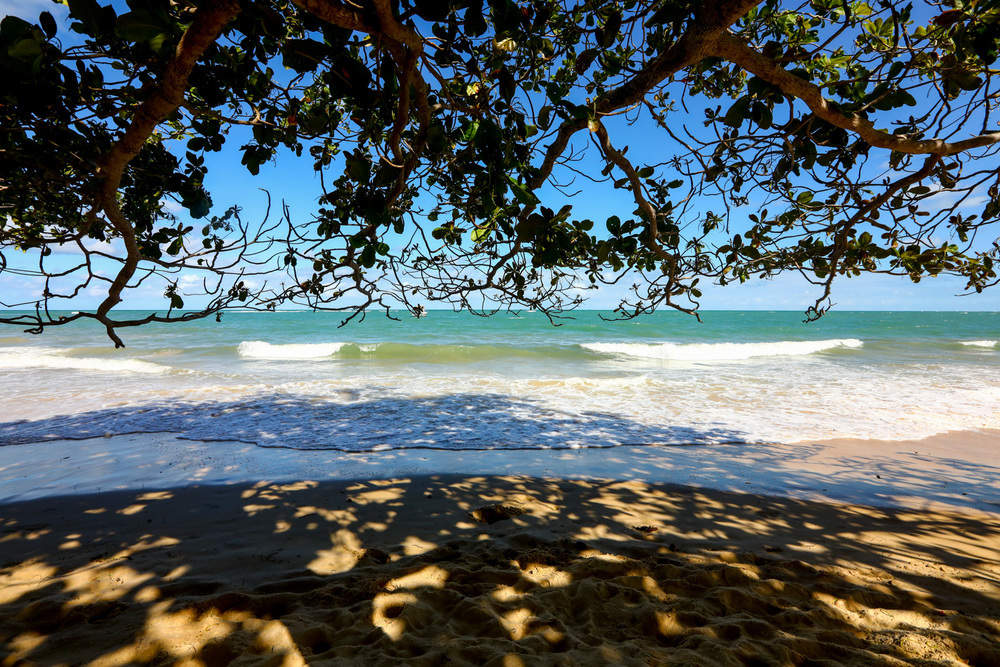Praia dos Coqueiros (foto: Melhores Destinos)